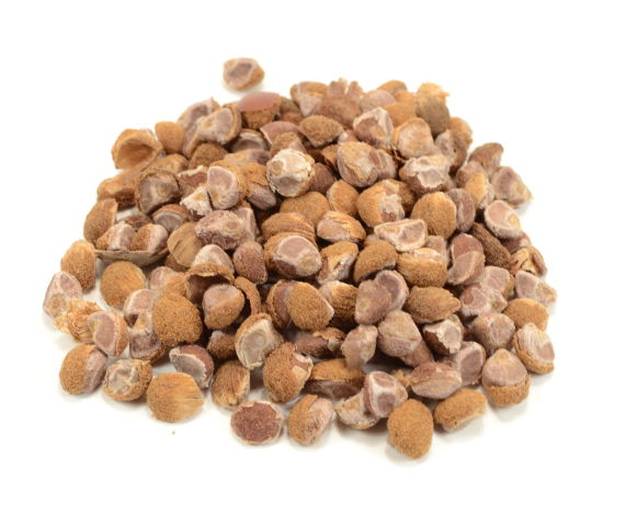 Hawaiian Baby Woodrose  Madagascar - 1000 gram